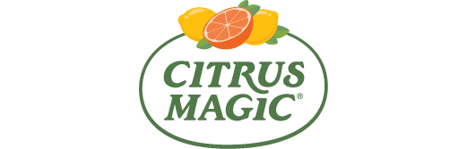 Citrus Magic